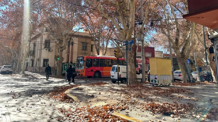 El Zonda ya se siente en varios puntos del Gran Mendoza: cómo va a seguir el tiempo 