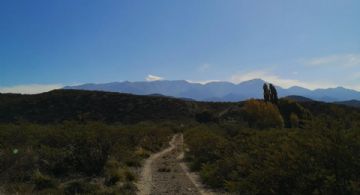 Las claves del conflicto en Campo Yaucha