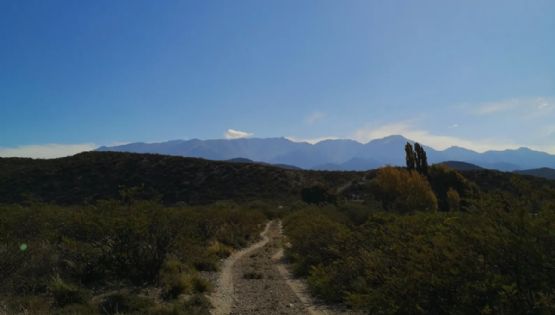 Las claves del conflicto en Campo Yaucha