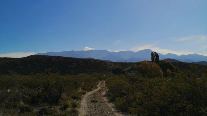 Las claves del conflicto en Campo Yaucha