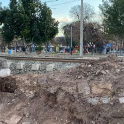 Vecinos de Godoy Cruz denuncian la eliminación de un histórico cerco verde por obras del Metrotranvía