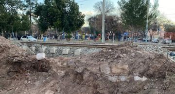 Vecinos de Godoy Cruz denuncian la eliminación de un histórico cerco verde por obras del Metrotranvía