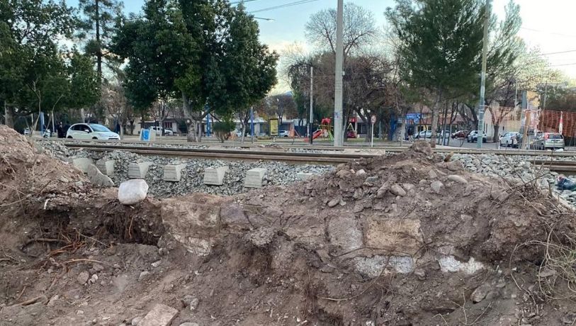 Vecinos de Godoy Cruz denuncian la eliminación de un histórico cerco verde por obras del Metrotranví
