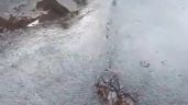 Foto ilustrativa de la nota titulada: Brota agua en Guaymallén: vecinos denuncian una pérdida desde hace más de 20 días