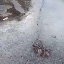 Brota agua en Guaymallén: vecinos denuncian una pérdida desde hace más de 20 días