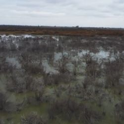 Nueva denuncia contra Aysam e Irrigación por contaminación y abuso de autoridad
