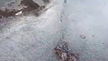 Brota agua en Guaymallén: vecinos denuncian una pérdida desde hace más de 20 días
