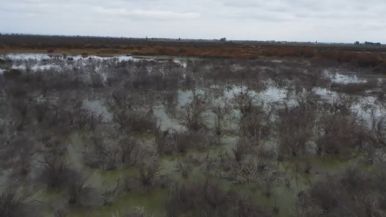 Foto iliustrativa de  Nueva denuncia contra Aysam e Irrigación por contaminación y abuso de autoridad