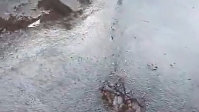 Brota agua en Guaymallén: vecinos denuncian una pérdida desde hace más de 20 días