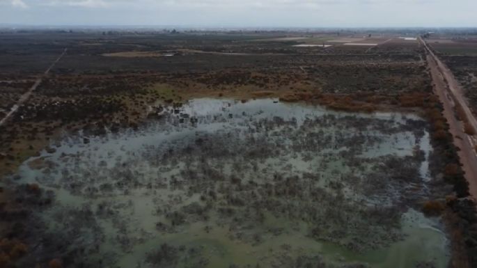 Nueva denuncia contra Aysam e Irrigación por contaminación y abuso de autoridad