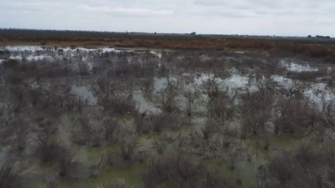 Nueva denuncia contra Aysam e Irrigación por contaminación y abuso de autoridad