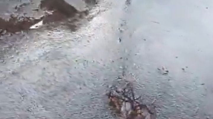 Brota agua en Guaymallén: vecinos denuncian una pérdida desde hace más de 20 días