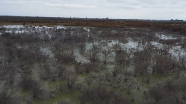 Nueva denuncia contra Aysam e Irrigación por contaminación y abuso de autoridad