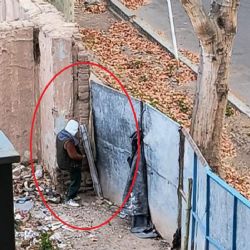 Tensión en pleno centro: vecinos denuncian un baldío fuera de control