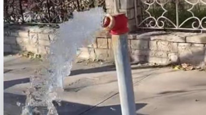 Vecinos de Luján de Cuyo reclaman por una importante pérdida de agua en la vía pública