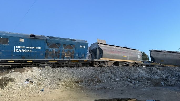 Descarriló un tren de cargas en Las Heras: investigan las causas