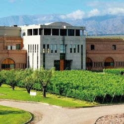 Monteviejo vs Pelleriti: la disputa millonaria que esconde la bodega preferida de los famosos