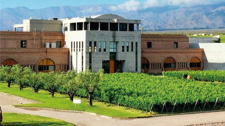 Monteviejo vs Pelleriti: la disputa millonaria que esconde la bodega preferida de los famosos