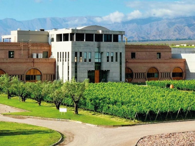 Monteviejo vs Pelleriti: la disputa millonaria que esconde la bodega preferida de los famosos