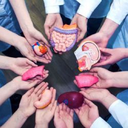 INCUCAI aprobó un protocolo para aumentar la cantidad de donantes