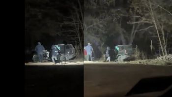 Las denuncias previas que advertían sobre el riesgo de caída de árboles en San Carlos