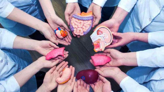 INCUCAI aprobó un protocolo para aumentar la cantidad de donantes