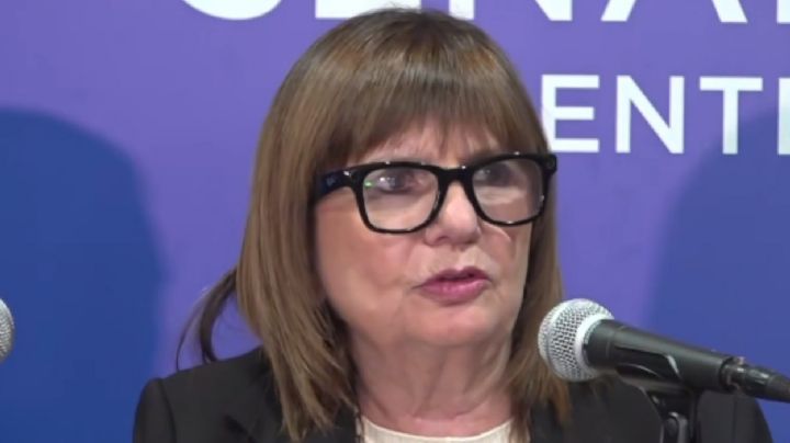 Extranjerización de tierras: Bullrich afirmó que el oficialismo ganará por un voto