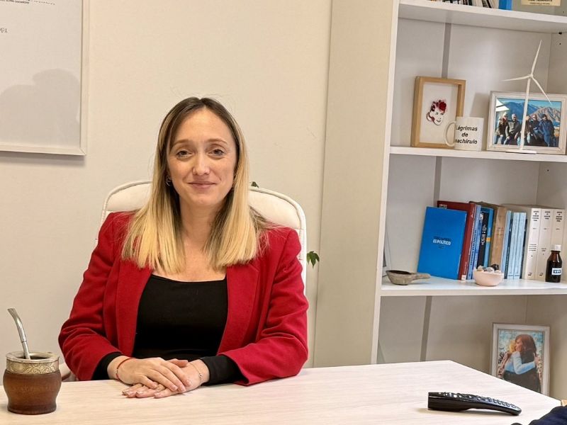 Esta es la nota que Anabel Fernández Sagasti le presentó a Victoria Villarruel