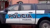 Foto ilustrativa de la nota titulada: Detuvieron a un jefe de la Policía Federal que se había robado dos Pitbulls 
