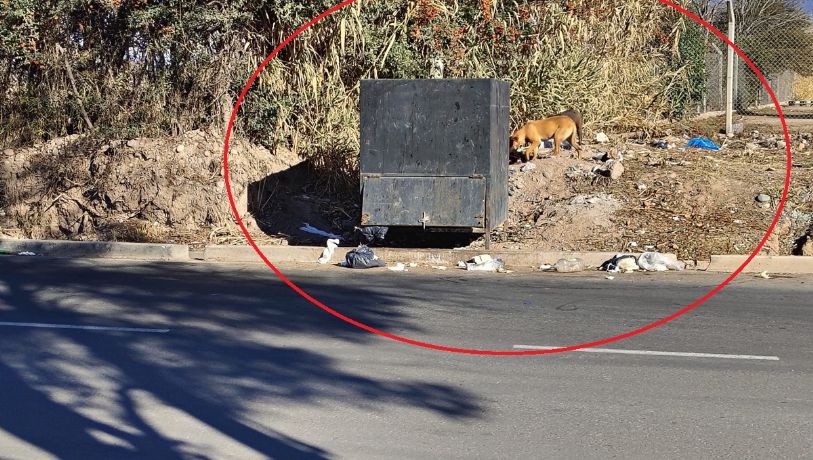 Vecinos de Luján reclaman por la acumulación de basura en un concurrido sector de la calle Terrada
