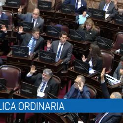 Cómo se gestó la "traición" a Anabel Fernández Sagasti en el Senado