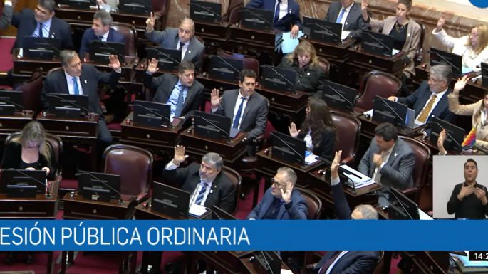 Cómo se gestó la "traición" a Anabel Fernández Sagasti en el Senado