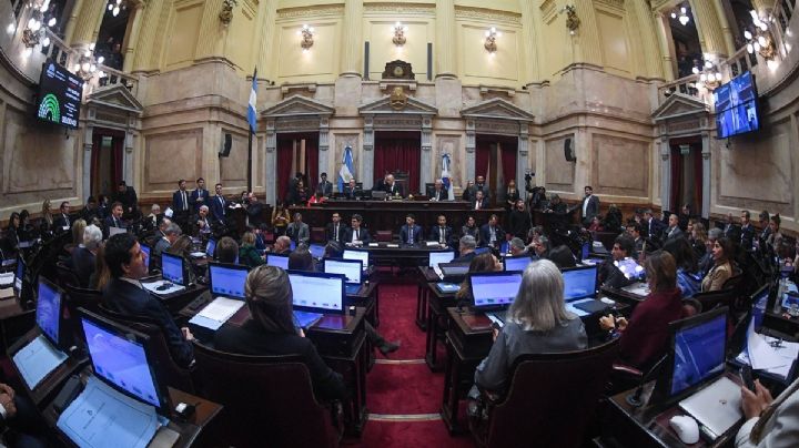 El Gobierno aprobó la ley de propiedad privada, pero tuvo que quitar otro capítulo